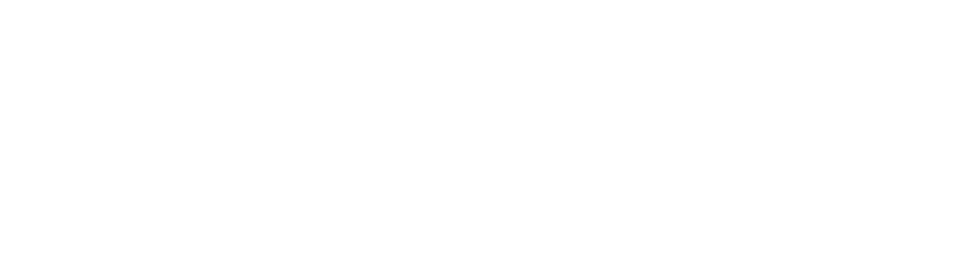 Camsensor